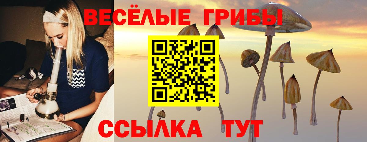 Кинель  Галлюциногенные грибы Magic Shrooms  закладка  Галлюциногенные грибы Psilocybine cubensis  Вход с VPN 